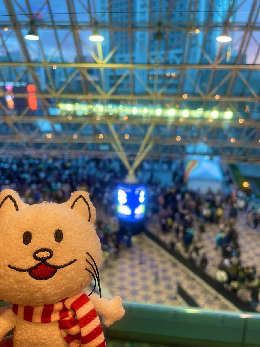 myaaakobump's tweet photo. 入場！
今日は天井から眺めるよー✨ https://t.co/9AqRUVUsBj