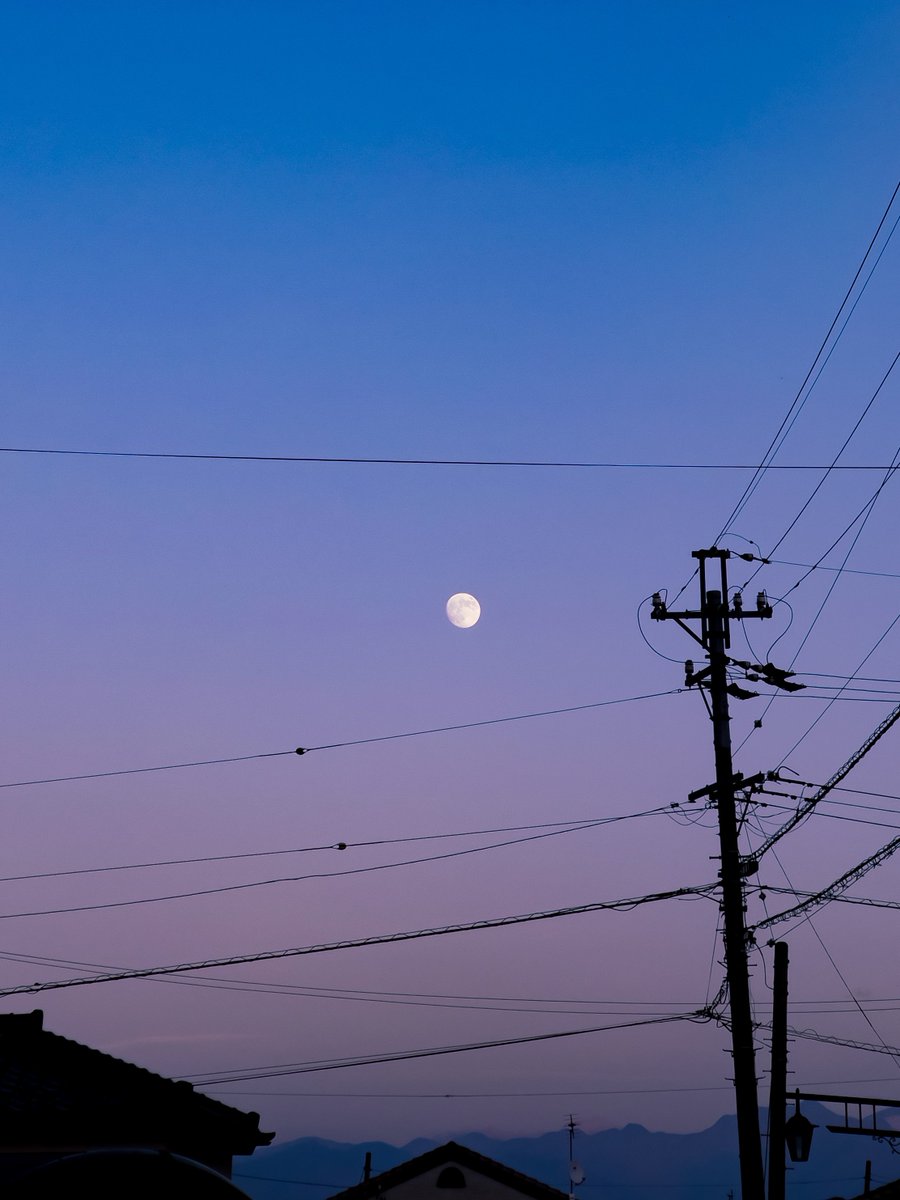 _le_mo's tweet photo. #sunsetmoon #PhotographyIsArt
#gradationcolor #photography https://t.co/Jzf1InbWNy