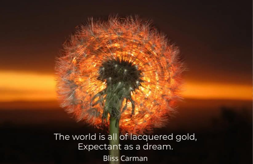 Nature quotes calendar - 2025

from my online shop
microcosmic.shop 

there's also

Feathers
How the Light Gets in
Scenic Flora
The Third Thing 

2025 Calendars