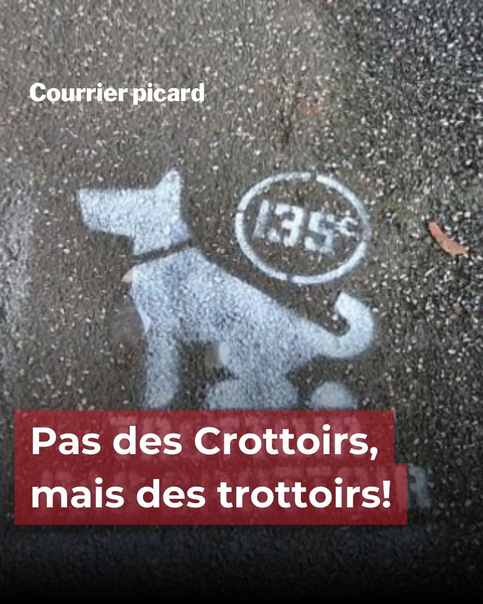 CourrierPicard's tweet photo. Certains secteurs d'#Amiens sont plus particulièrement touchés par ces incivilités: les #crottes de #chiens non ramassées (ce qui coûte cher) => https://t.co/8xED1GXbkp #somme #société #animaux #faitsdivers https://t.co/ABW0Z5NzG9