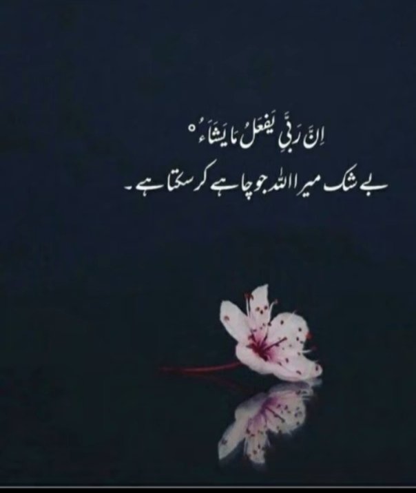 Irha Rajpoot (@irha342) on Twitter photo 