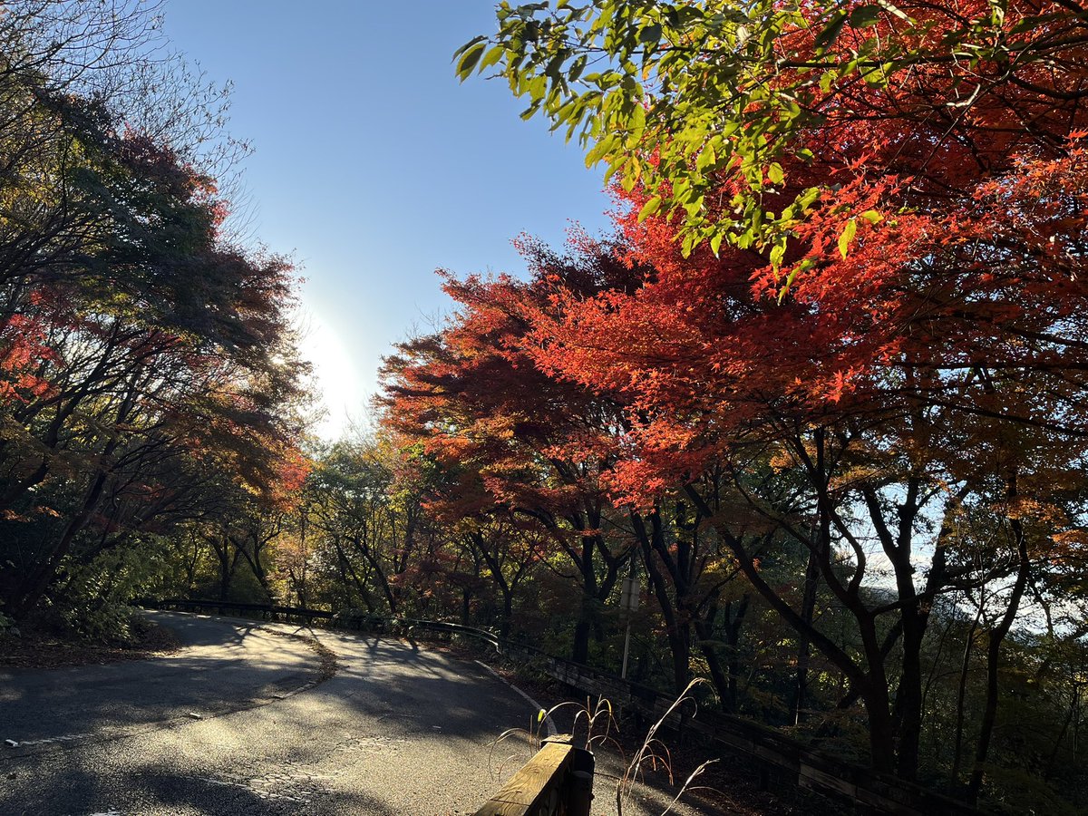 tsunoopy's tweet photo. 秋の山もしゅ〜りょ〜 https://t.co/7cJJM9mmBo