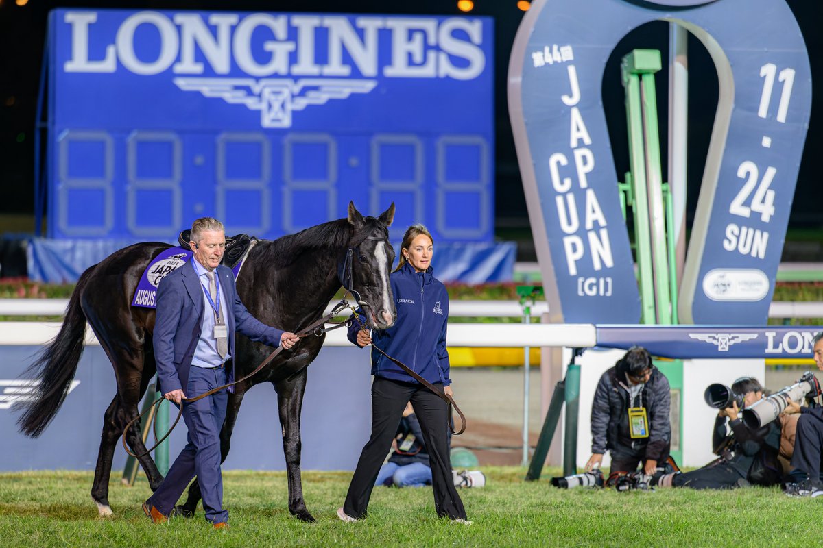 y_horse329's tweet image. 2024.11.24
オーギュストロダン引退お披露目式
#オーギュストロダン 
#AugusteRodin