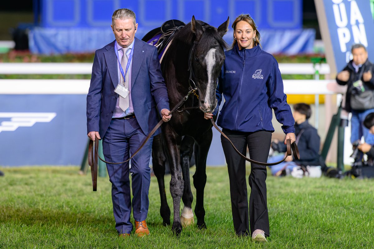 y_horse329's tweet image. 2024.11.24
オーギュストロダン引退お披露目式
#オーギュストロダン 
#AugusteRodin