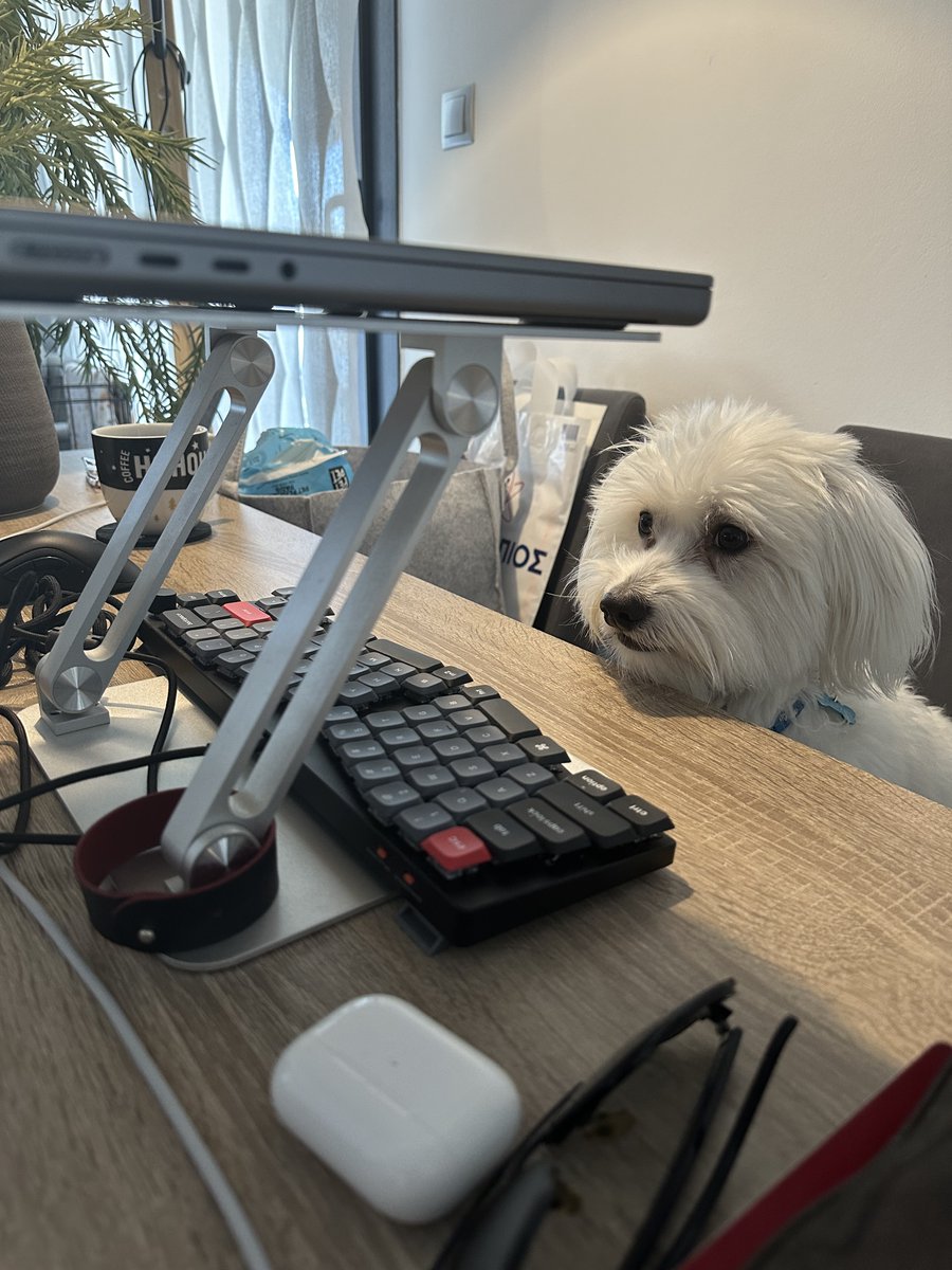 amiridis's tweet image. Woke up early because Alfie, my dog, needed to vomit. Carried him to the toilet. It's rainy, which isn't great for Greece. Still, I'm happy. Made coffee and started working on matrix transpositions on my laptop. #AdventOfCode #MyElixirStatus #LifeWithaDog