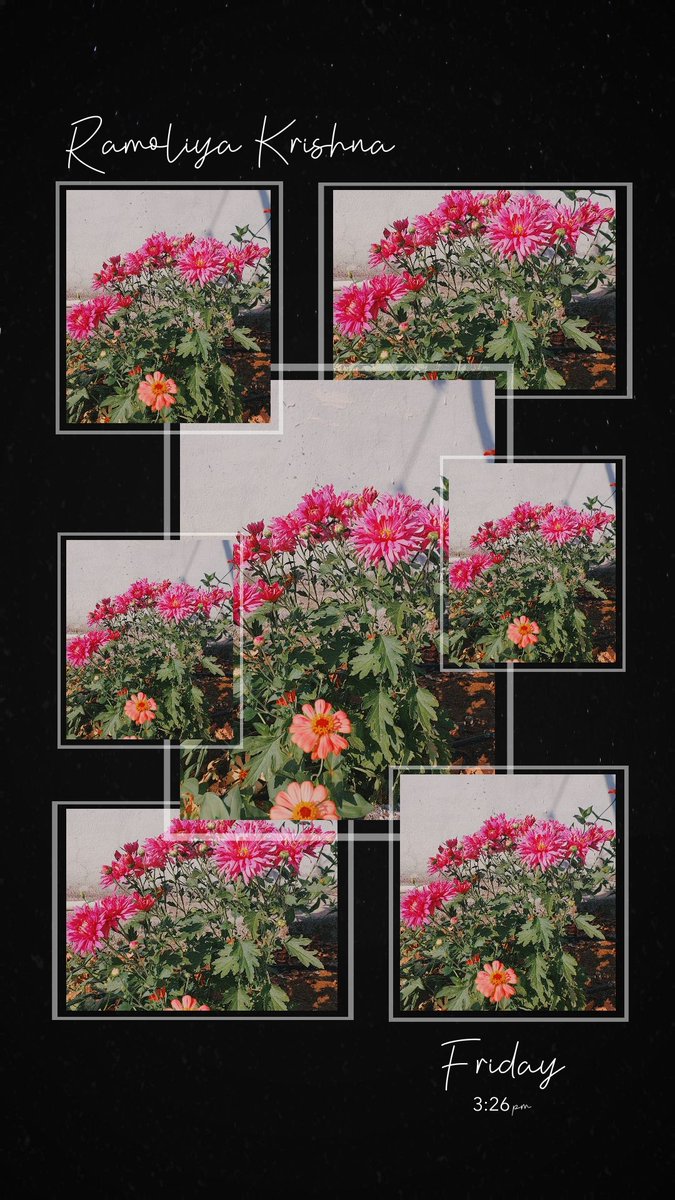 RamoliyaKrishna's tweet photo. 🌼🌼 https://t.co/EA1C04YNdB