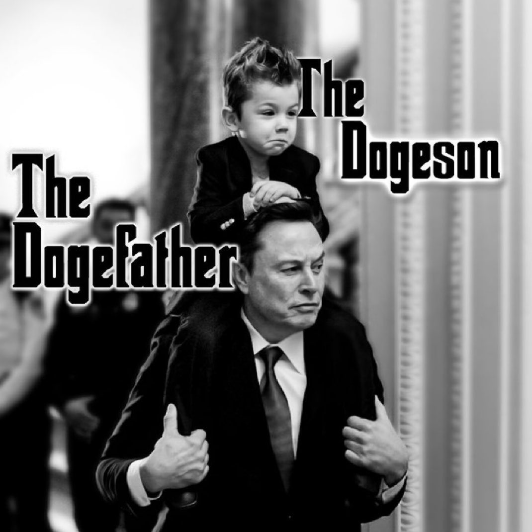 Elon Musk Doge Father Dogecoin