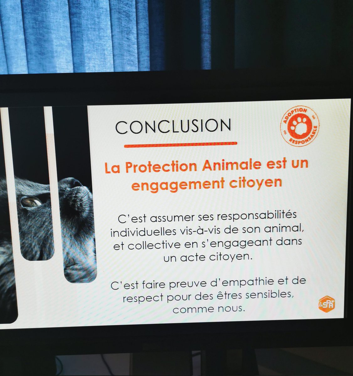 Intervention de la #SPA venue sensibiliser les élèves.
Défendre la #causeanimale est un engagement citoyen, et à cette occasion les Terminales CAP ont remis le résultat de la collecte organisée au sein du lycée pour aider les bénévoles à prendre soin des animaux recueillis.