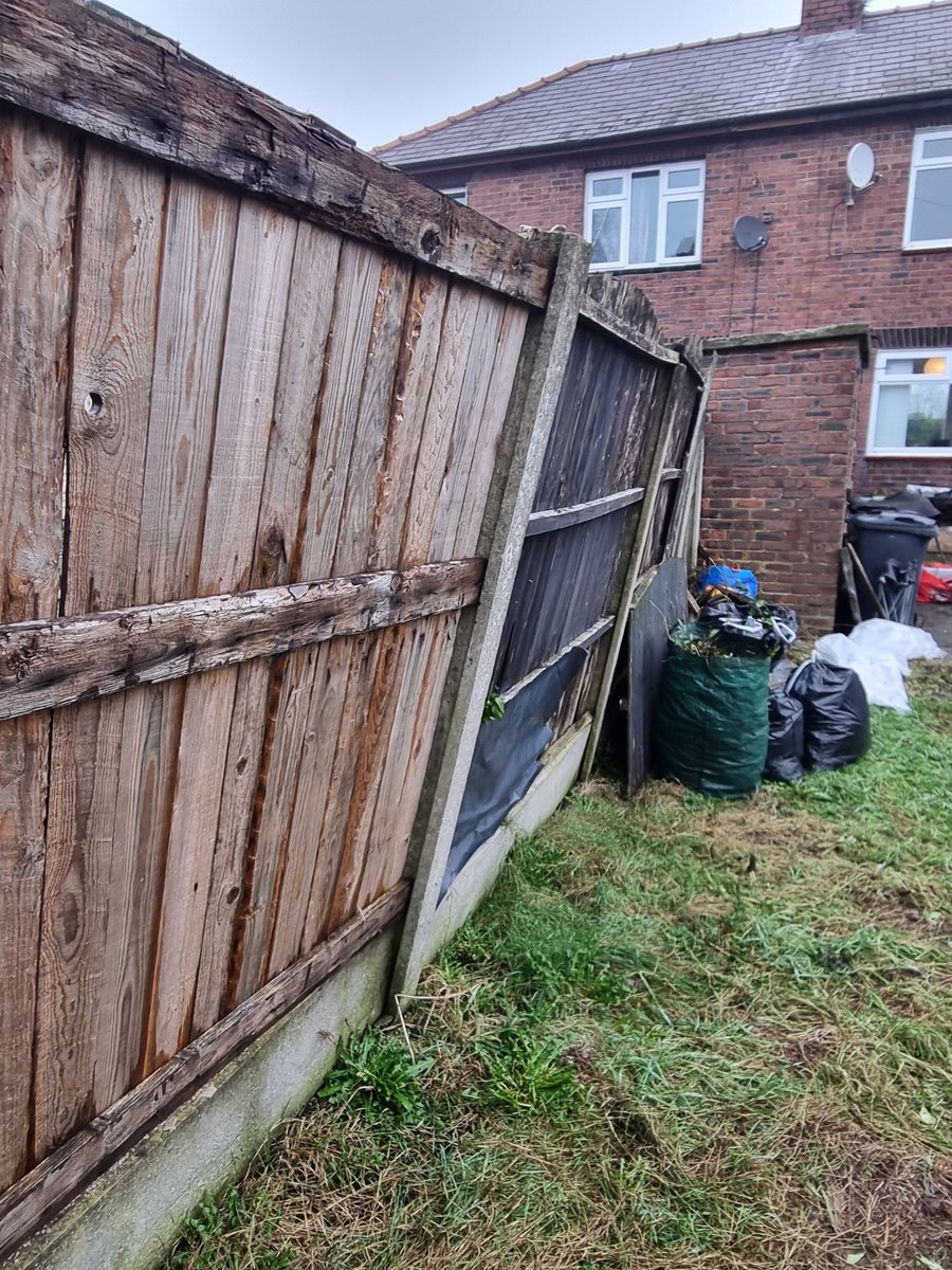 Gamble free girl tweet media