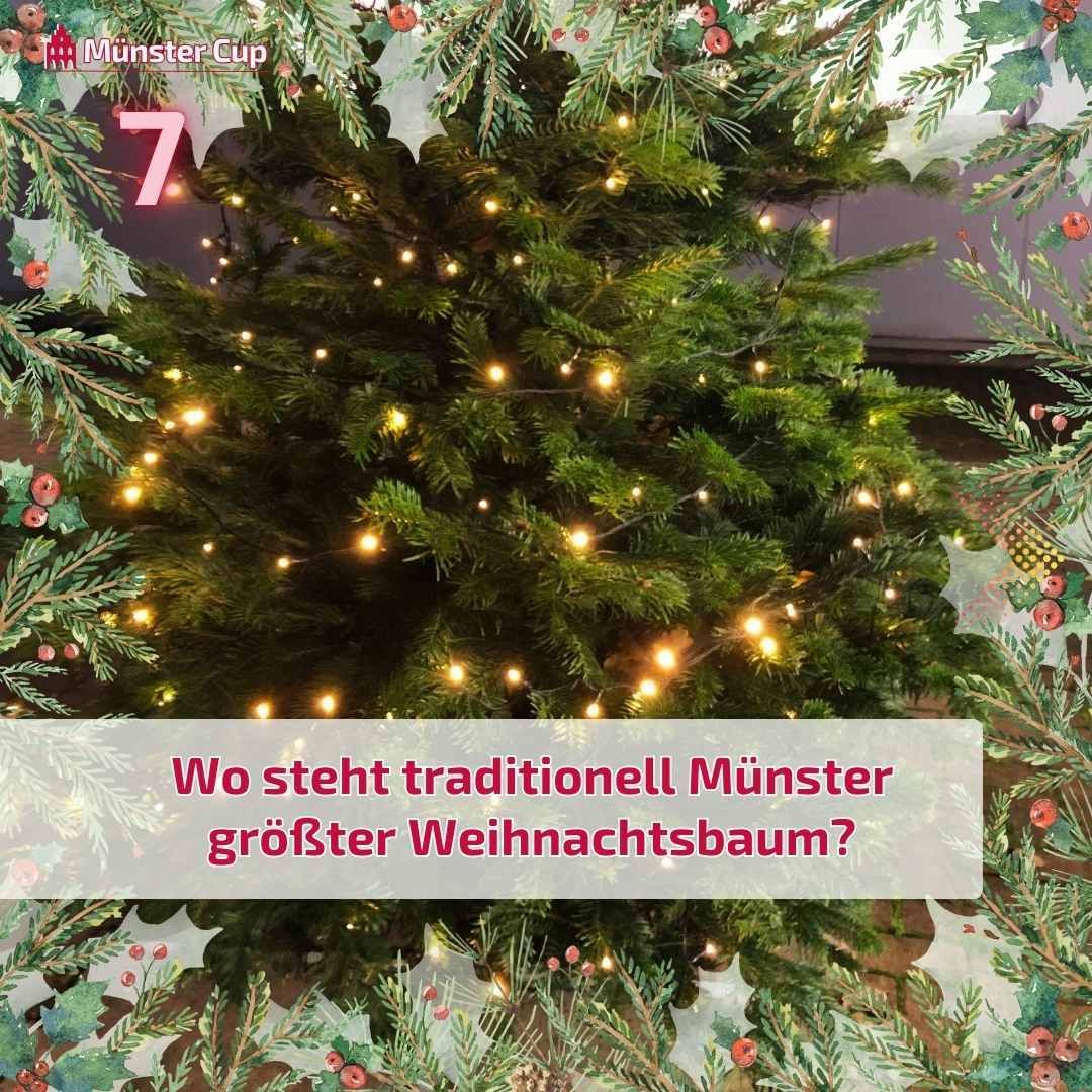 MuensterQuiz's tweet photo. ✨ Lichterglanz in #Münster! Der traditionelle Weihnachtsbaum erstrahlt &amp; läutet offiziell die Weihnachtsmarktsaison in Münster ein 🎄❄️

#MünsterCup #MünsterQuiz #MünsterWeihnachtsmarkt #Weihnachtszauber #WinterInMünster #Münsterleben #Weihnachtsmarkt #StLamberti #XMas https://t.co/LBTnuGCdxm
