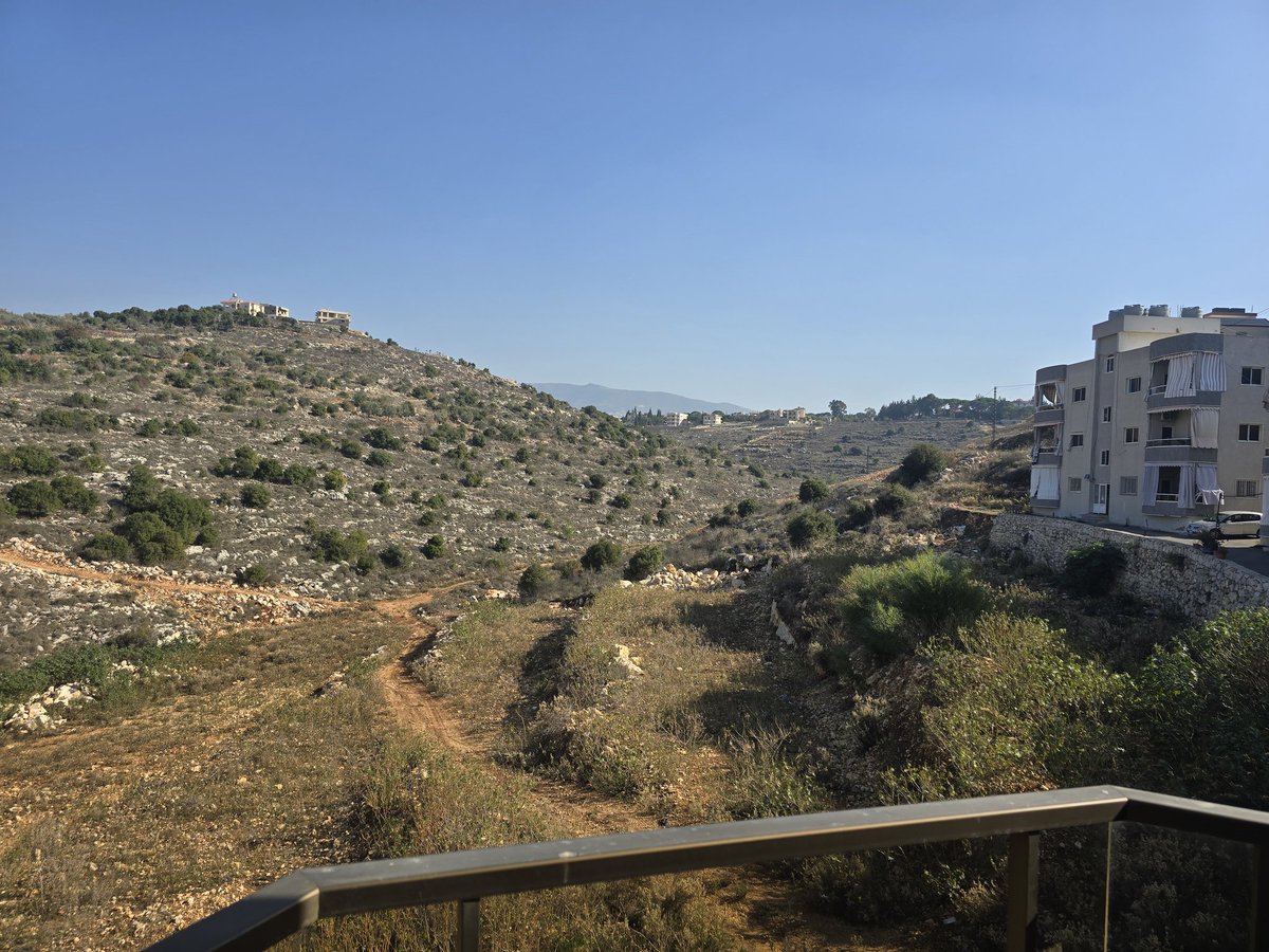 PermaBull.h tweet media