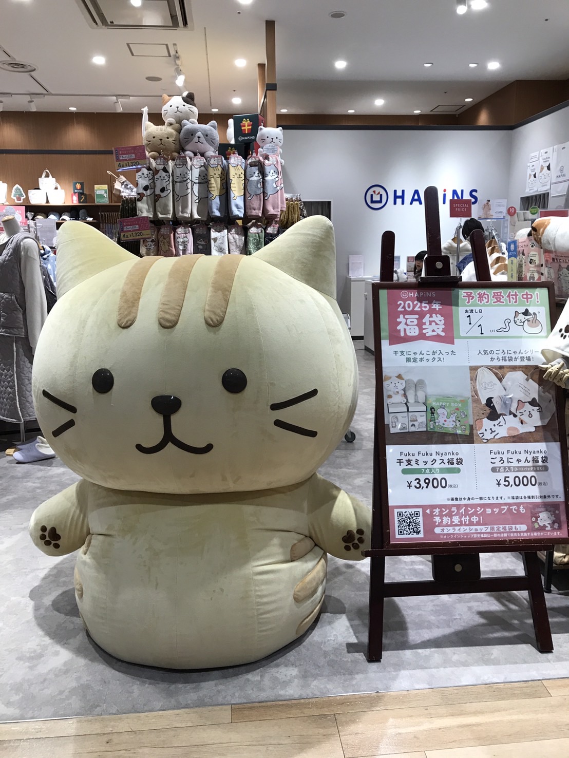 Fuku Fuku Nyanko(ふくふくにゃんこ) on X: 