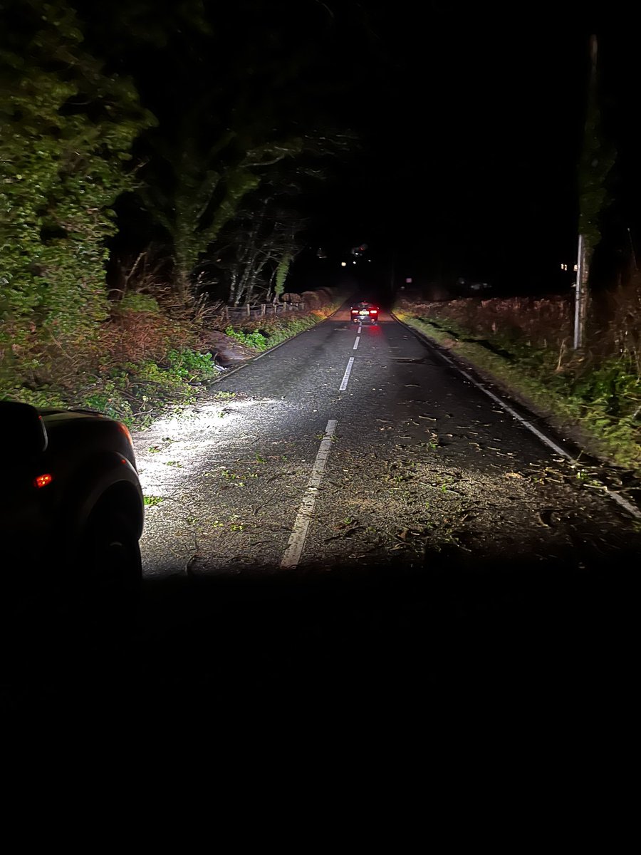 Matt Styles 🐑🐕 tweet media