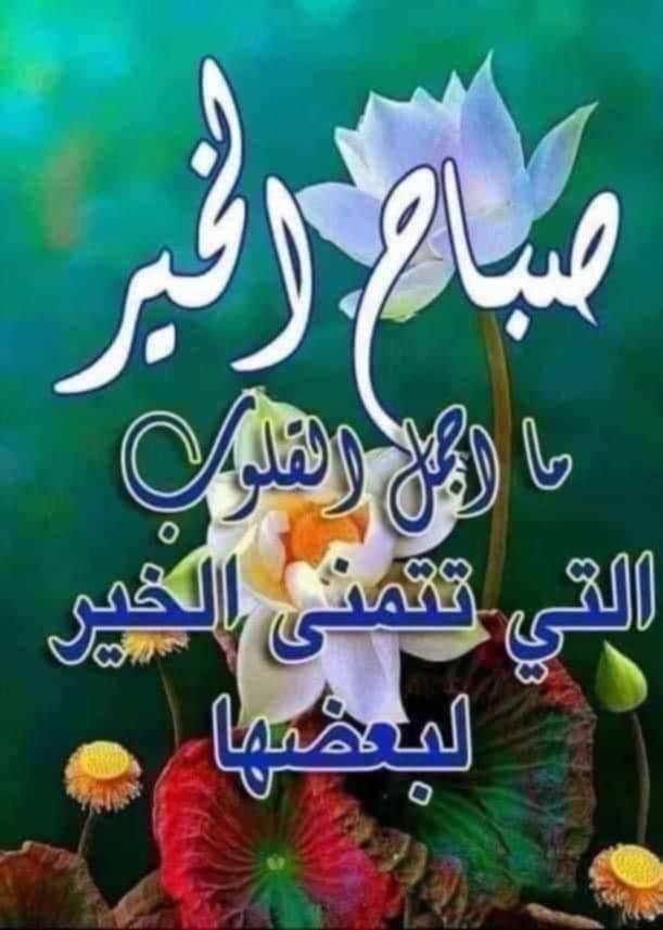 Qasim5aasaa's tweet photo. https://t.co/pmo14u80VE