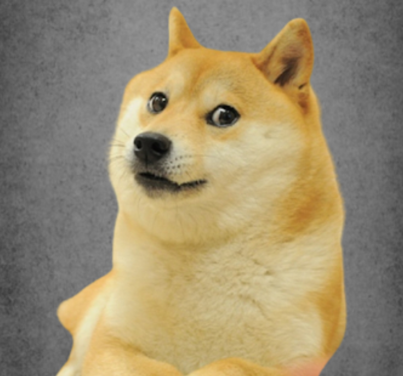 Jhin ⚔️ + ⚔️ tweet media