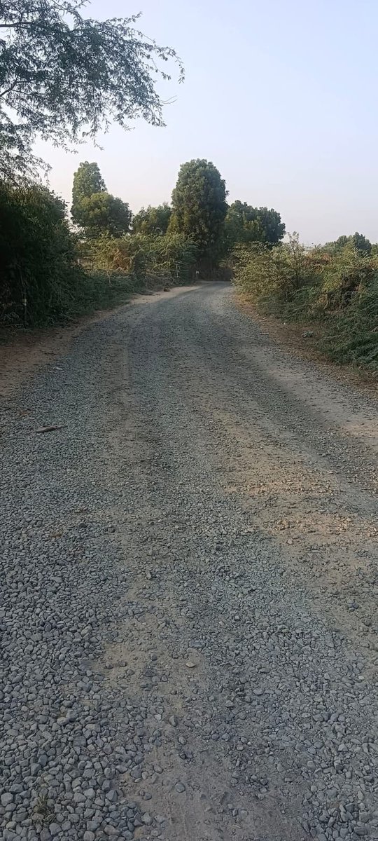 BhaveshPurohiit's tweet image. भीनमाल ( जालौर )
भ्रष्टाचार की भेंट चढ़ा सड़क मार्ग। कार्य शुरू की तारीख 24/7/2023 वहीं कार्य पूर्ण की तारीख 23/1/2024 हैं सड़क बनी या नहीं या फिर ठेकेदार या विभाग निगल गए स्थिति रहस्यमयी बनी हुई हैं। 
सोचने वालीं बात यह हैं कि 342 लाख का बजट कहा गया? 
विभाग और ठेकेदार पर संदेह…