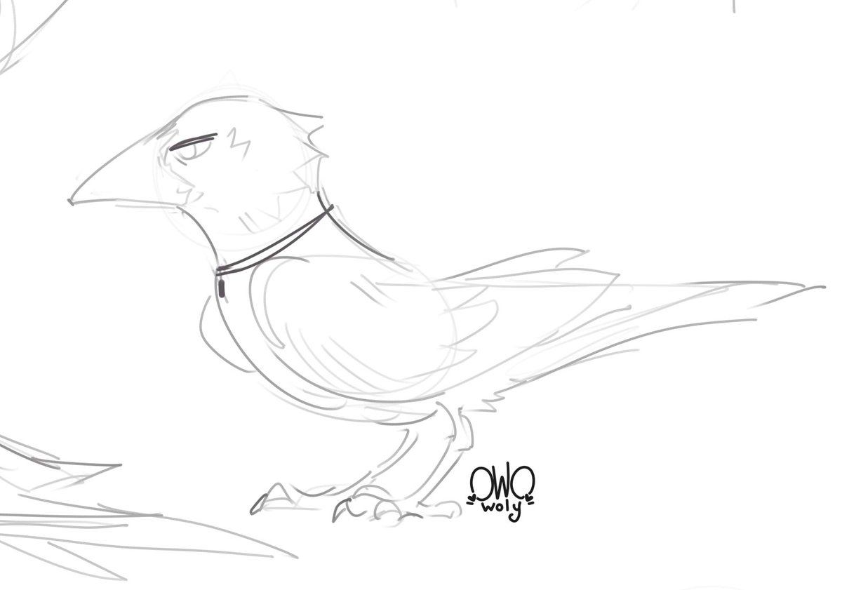 🖤Woly🖤 tweet media