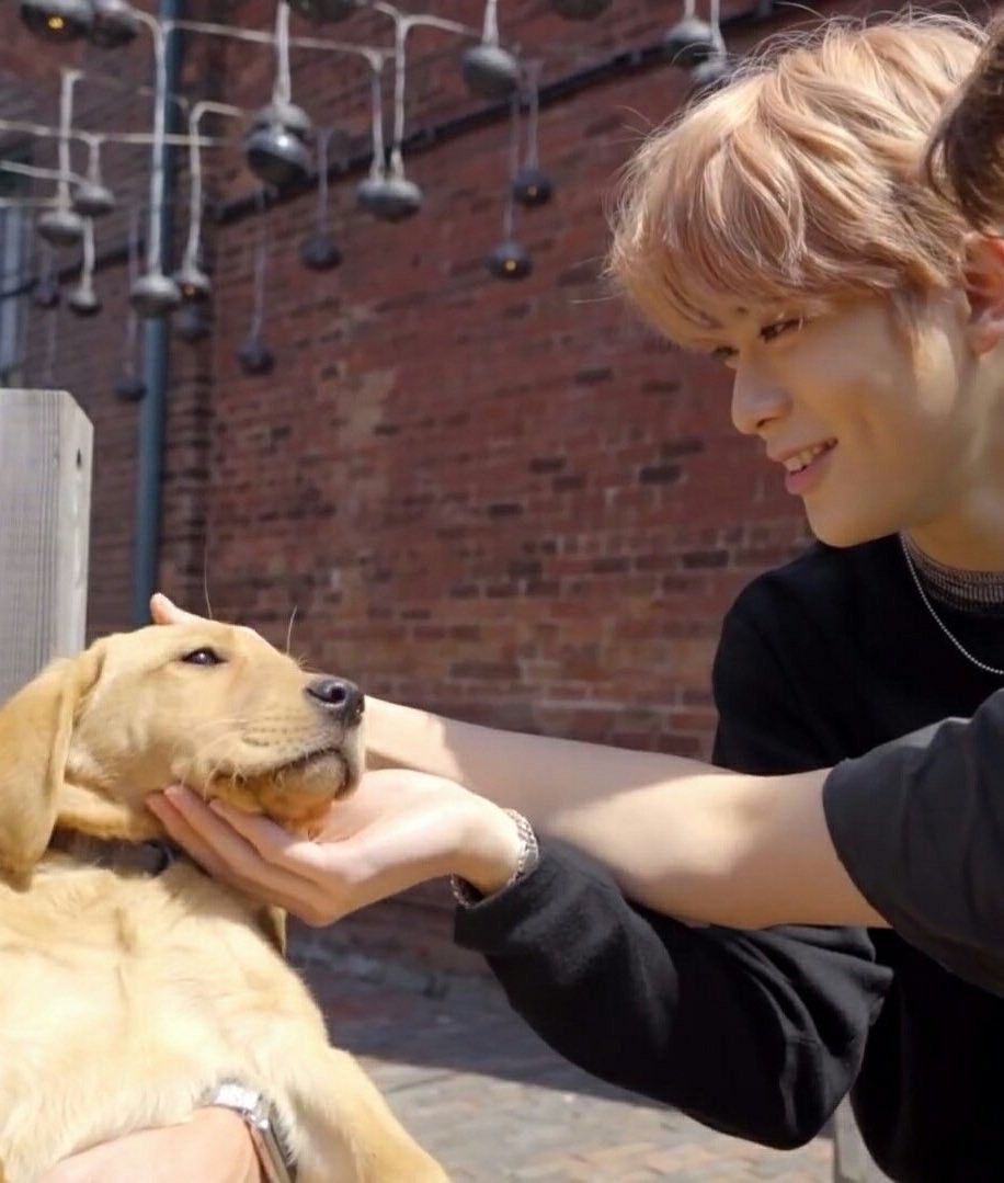 pedfgkam's tweet photo. อันนี้เอ็นดูมากเลย จำได้ว่า แจฮยอนเคยบอกในเอนนานาว่าตัวเองอยากเลี้ยงน้องหมามากๆ เเละก็ชอบพูดถึงแมวที่ระเบียง���ี่หอบ่อยๆ ตอนเด็กๆก็แพ้ขนสัตว์เเต่ตอนนี้หายเเล้ว แล้วก็บอกอีกว่าตัวเองน่ะชอบหมาตัวใหญ่ๆ แต่ถ้าได้เลี้ยงจริงๆก็จะเอาตัวพอดีๆ น่ารักเนาะ หวังว่าสักวันนึงจะได้เห็นเเจฮยอนเลี้ยงน้องหมาสักตัวนะ