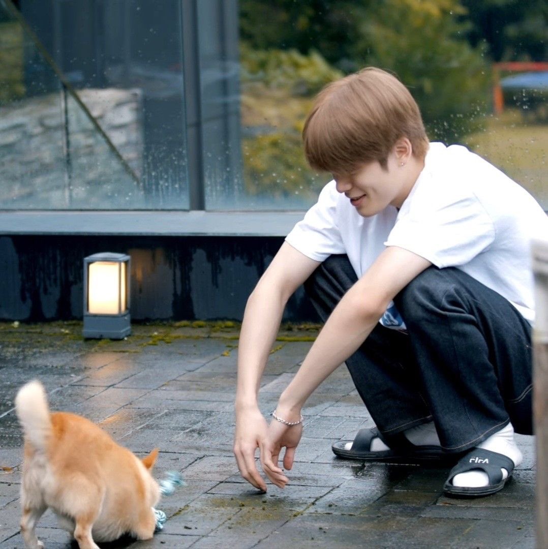 pedfgkam's tweet photo. อันนี้เอ็นดูมากเลย จำได้ว่า แจฮยอนเคยบอกในเอนนานาว่าตัวเองอยากเลี้ยงน้องหมามากๆ เเละก็ชอบพูดถึงแมวที่ระเบียง���ี่หอบ่อยๆ ตอนเด็กๆก็แพ้ขนสัตว์เเต่ตอนนี้หายเเล้ว แล้วก็บอกอีกว่าตัวเองน่ะชอบหมาตัวใหญ่ๆ แต่ถ้าได้เลี้ยงจริงๆก็จะเอาตัวพอดีๆ น่ารักเนาะ หวังว่าสักวันนึงจะได้เห็นเเจฮยอนเลี้ยงน้องหมาสักตัวนะ