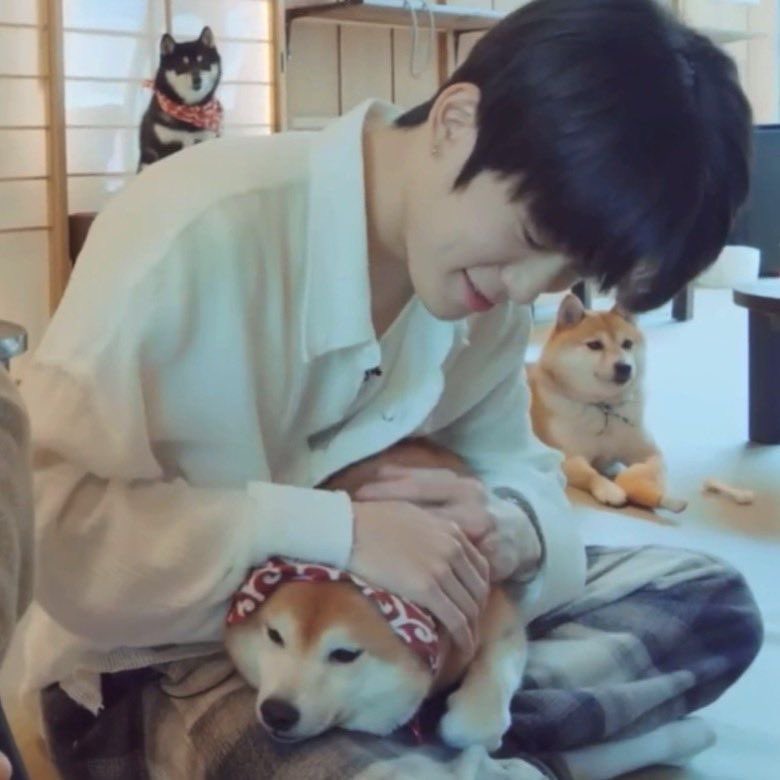 pedfgkam's tweet photo. อันนี้เอ็นดูมากเลย จำได้ว่า แจฮยอนเคยบอกในเอนนานาว่าตัวเองอยากเลี้ยงน้องหมามากๆ เเละก็ชอบพูดถึงแมวที่ระเบียง���ี่หอบ่อยๆ ตอนเด็กๆก็แพ้ขนสัตว์เเต่ตอนนี้หายเเล้ว แล้วก็บอกอีกว่าตัวเองน่ะชอบหมาตัวใหญ่ๆ แต่ถ้าได้เลี้ยงจริงๆก็จะเอาตัวพอดีๆ น่ารักเนาะ หวังว่าสักวันนึงจะได้เห็นเเจฮยอนเลี้ยงน้องหมาสักตัวนะ