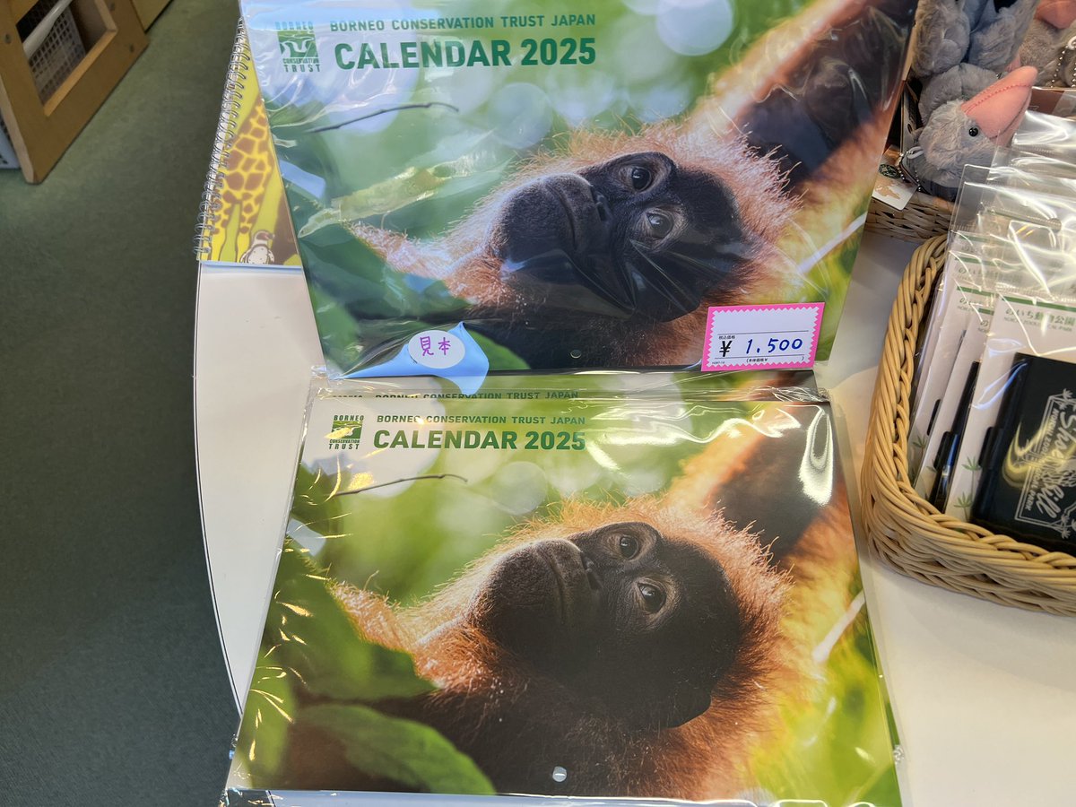 noichizoo_staff's tweet photo. 売店「のいちご」にて、認定NPO法人ボルネオ保全トラスト・ジャパン(BCTJ)のチャリティーカレンダーの販売を開始しました!カメラマンの阿部雄介氏が撮影されたボルネオ島の動物たちや景色がとても素敵です。ぜひお買い求めください♪ 🦧
#のいち動物公園 #BCTJ #カレンダー #ボルネオ島 #保全 https://t.co/uquYfzrSeq