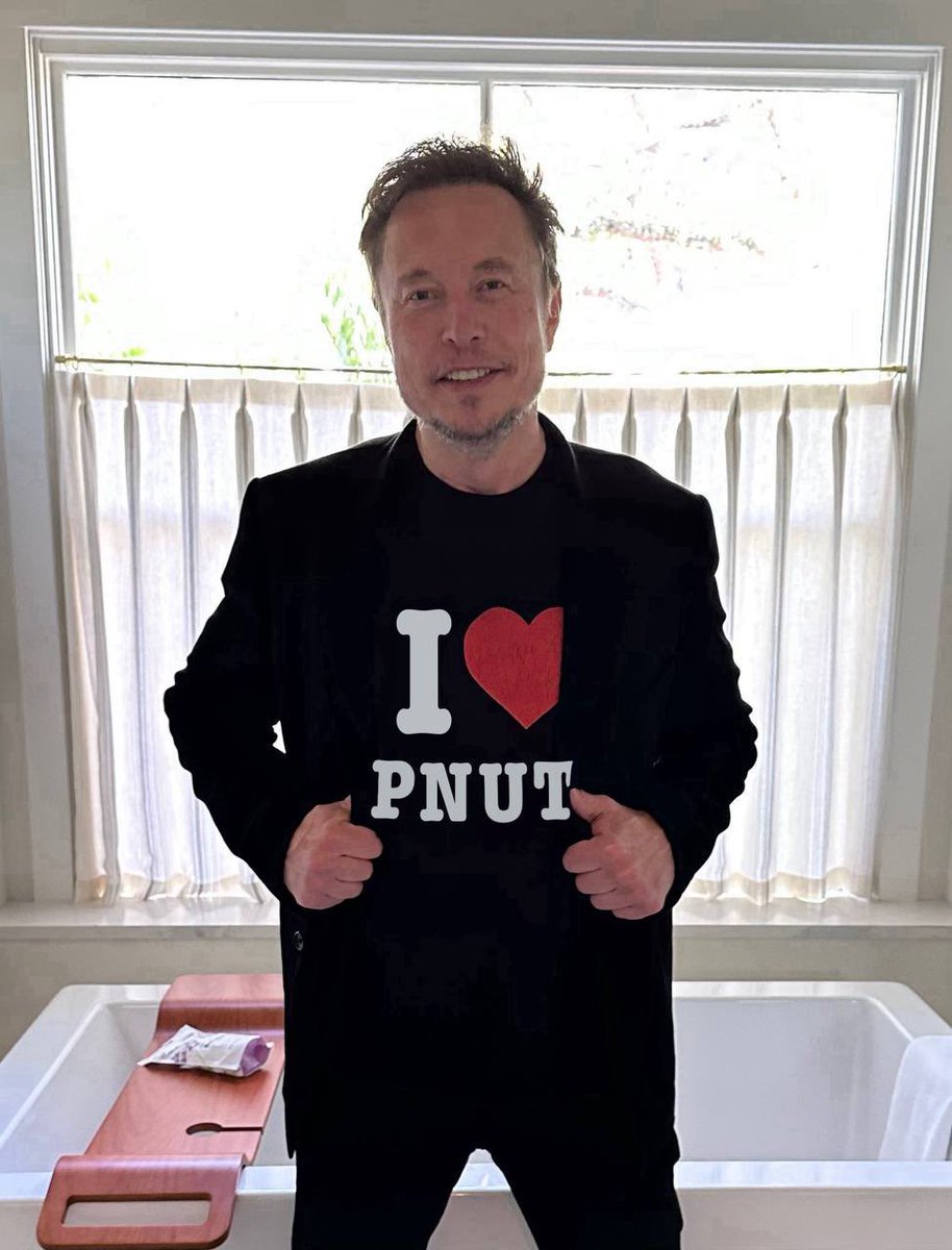 pnutsolana's tweet photo. @elonmusk Yes! https://t.co/qX7wg3FMLW