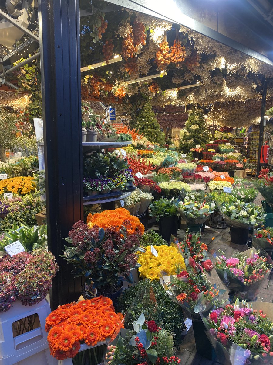 Pepperpot Nursery (@pepperpotherbs) / Posts / X