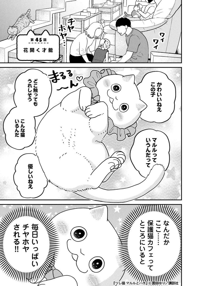 保護猫カフェで才能を発揮する猫(1/3) 
