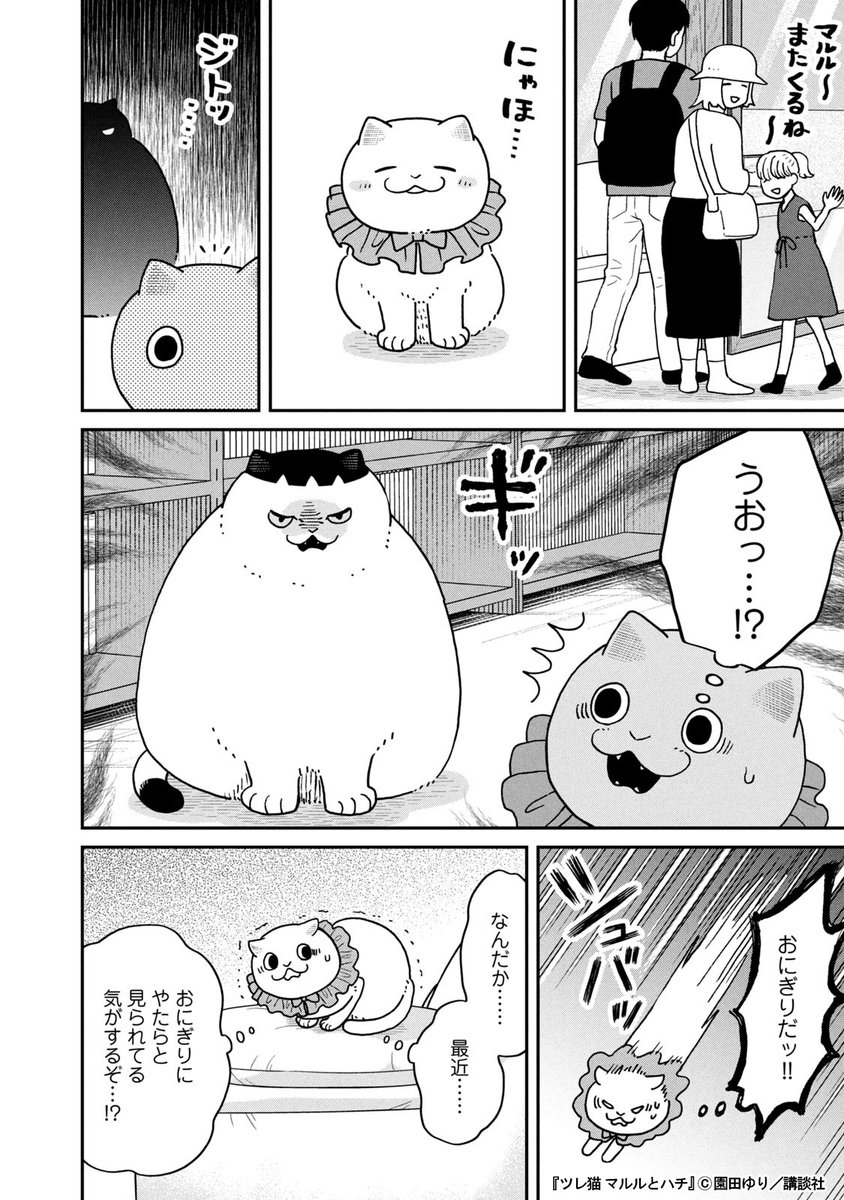 保護猫カフェで才能を発揮する猫(1/3) 