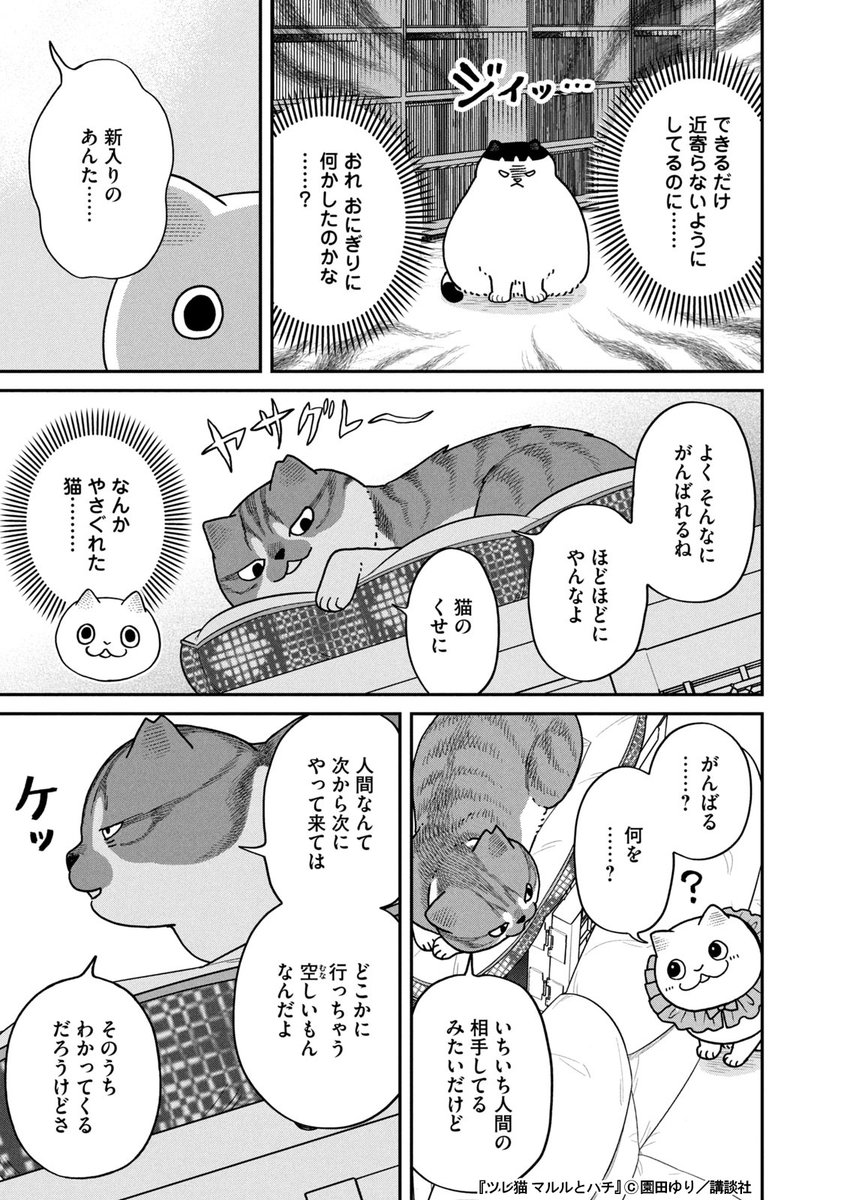 保護猫カフェで才能を発揮する猫(1/3) 