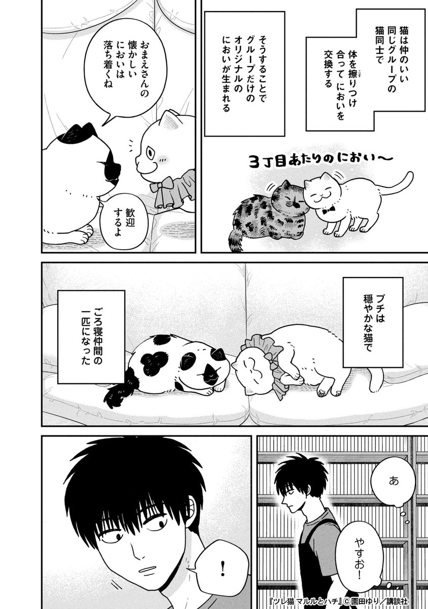 保護猫カフェで才能を発揮する猫(2/3) 
