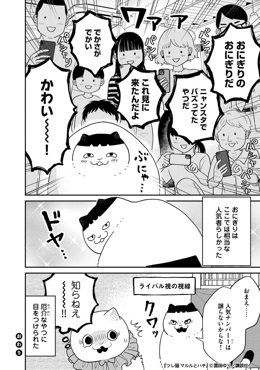 保護猫カフェで才能を発揮する猫(3/3) 