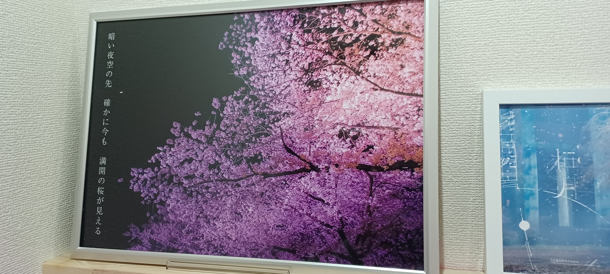 ゆきそら 【再開感謝Sale】マダムニャンコ♡ 3/11(月) 12時販売 】リリースから5年。初のフルリニューアル