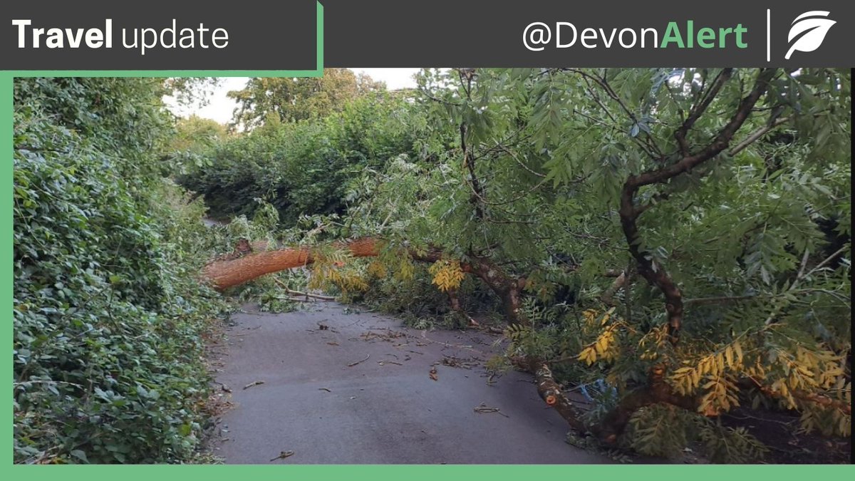 Devon Alert tweet media