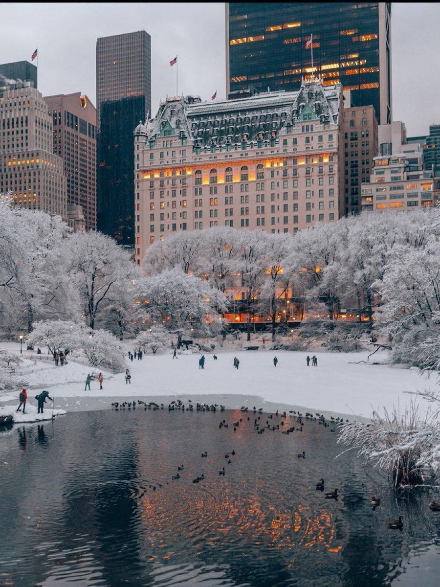 Kenneth Steven (@newman_ken61675) on Twitter photo 