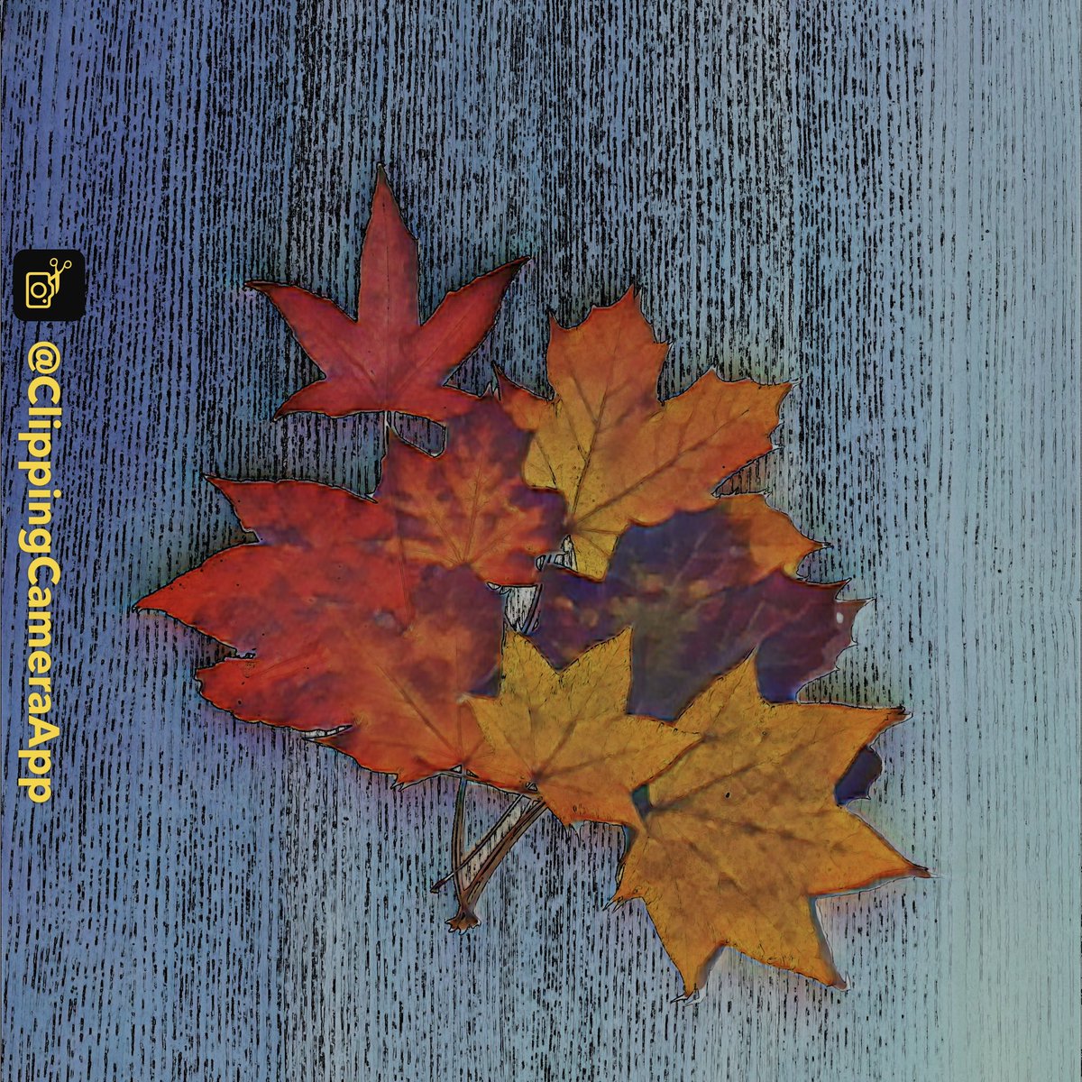 clippingcamera's tweet photo. Vibrant fall colors and rainy wood

📲 https://t.co/4hzPRIBpVX

#ClippingCameraApp #iOS #IndieDev #Photography #PhotoFilters #AI #CreativePhotography #InstaPhoto #PhotoEditing #PhotoArt #AIPhotography #VisualArt #FallVibes #NaturePhoto #MapleLeaves https://t.co/X87gNp2Ox2