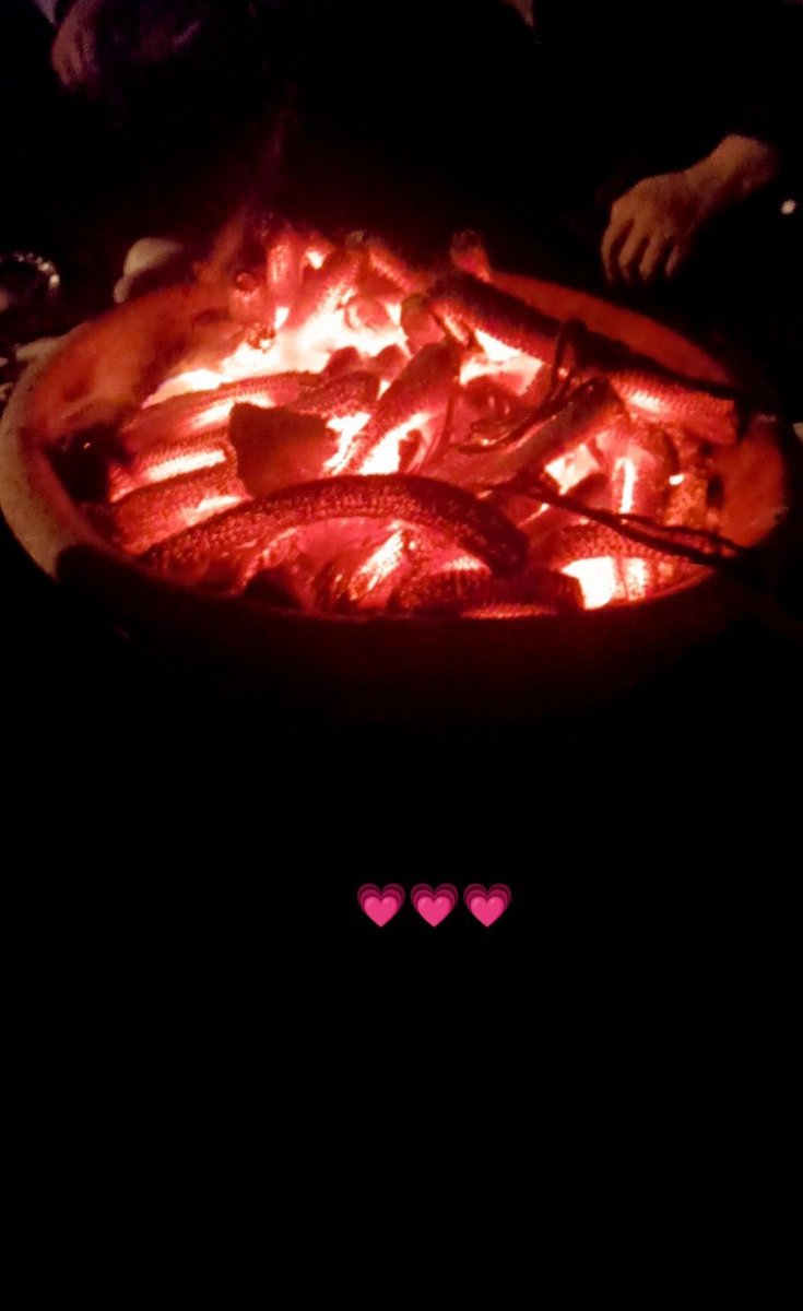 هاڤ انايس داي ويذ كتكوتي 👀♥️💍