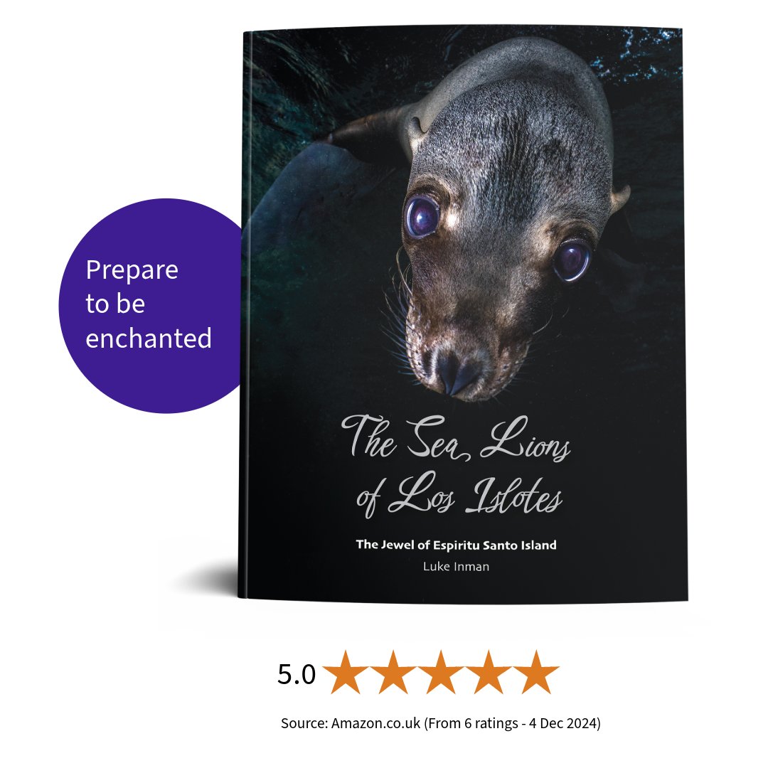 DivedUp's tweet photo. If you are looking for a gift for someone with a particular interest in marine life here are some of our best selling titles to consider!  
#booksofinstagram #books #scubadiving #gifts https://t.co/fTL7BYqRTQ