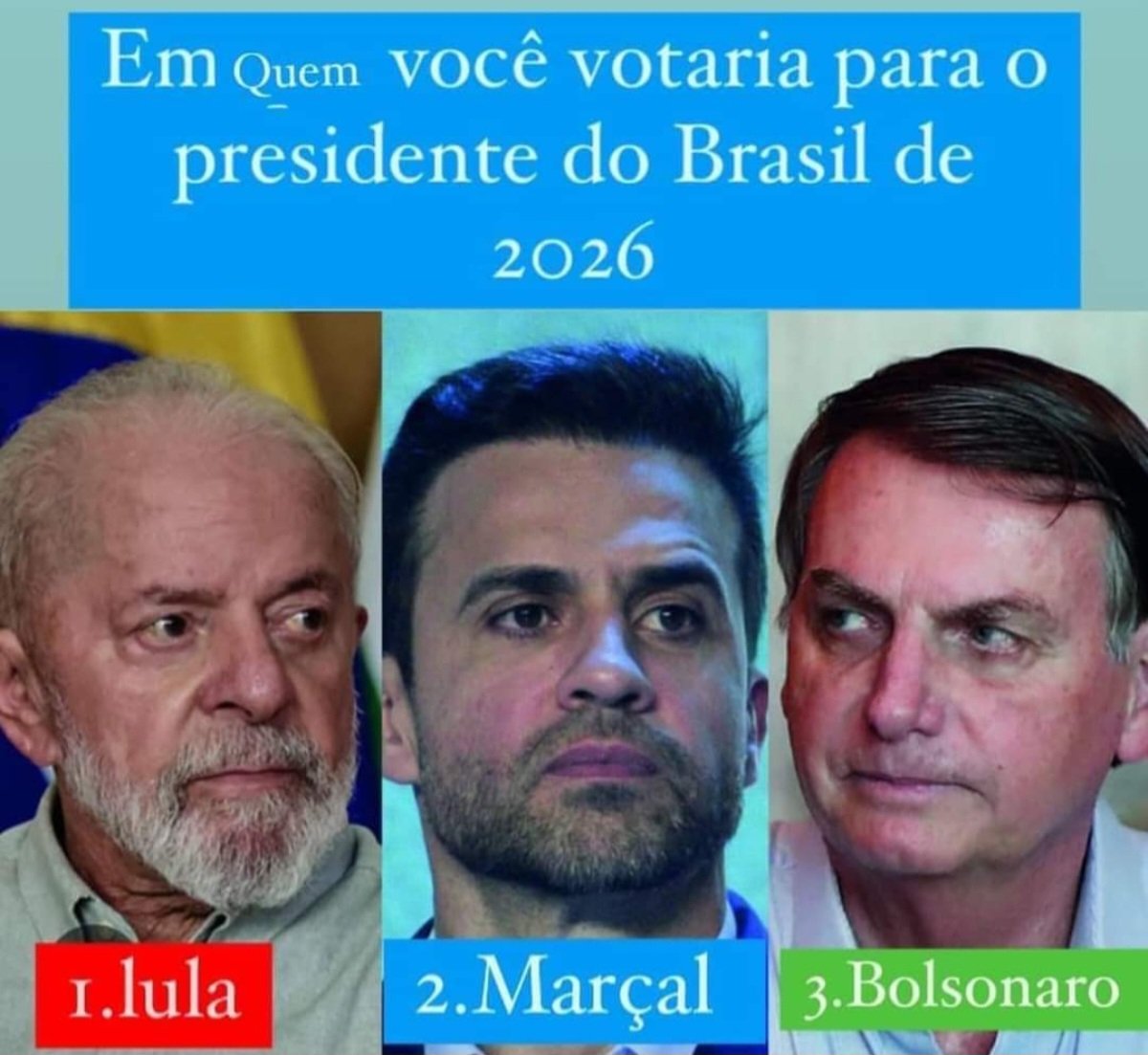 Carolina Vitoria tweet media