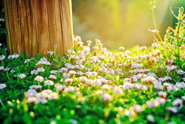 Gm lovely friends! ❤️✨️