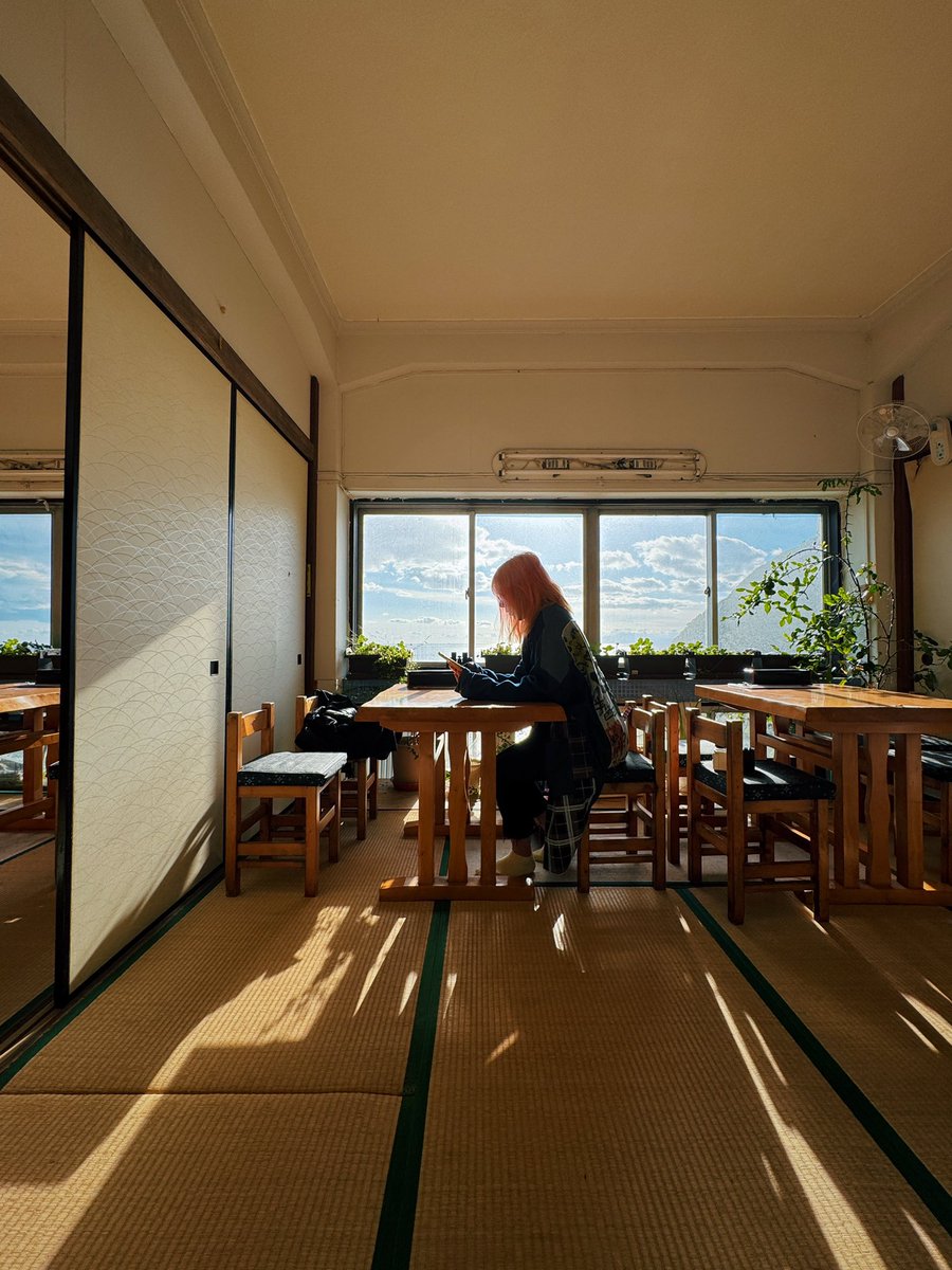 lily🌸 tweet media