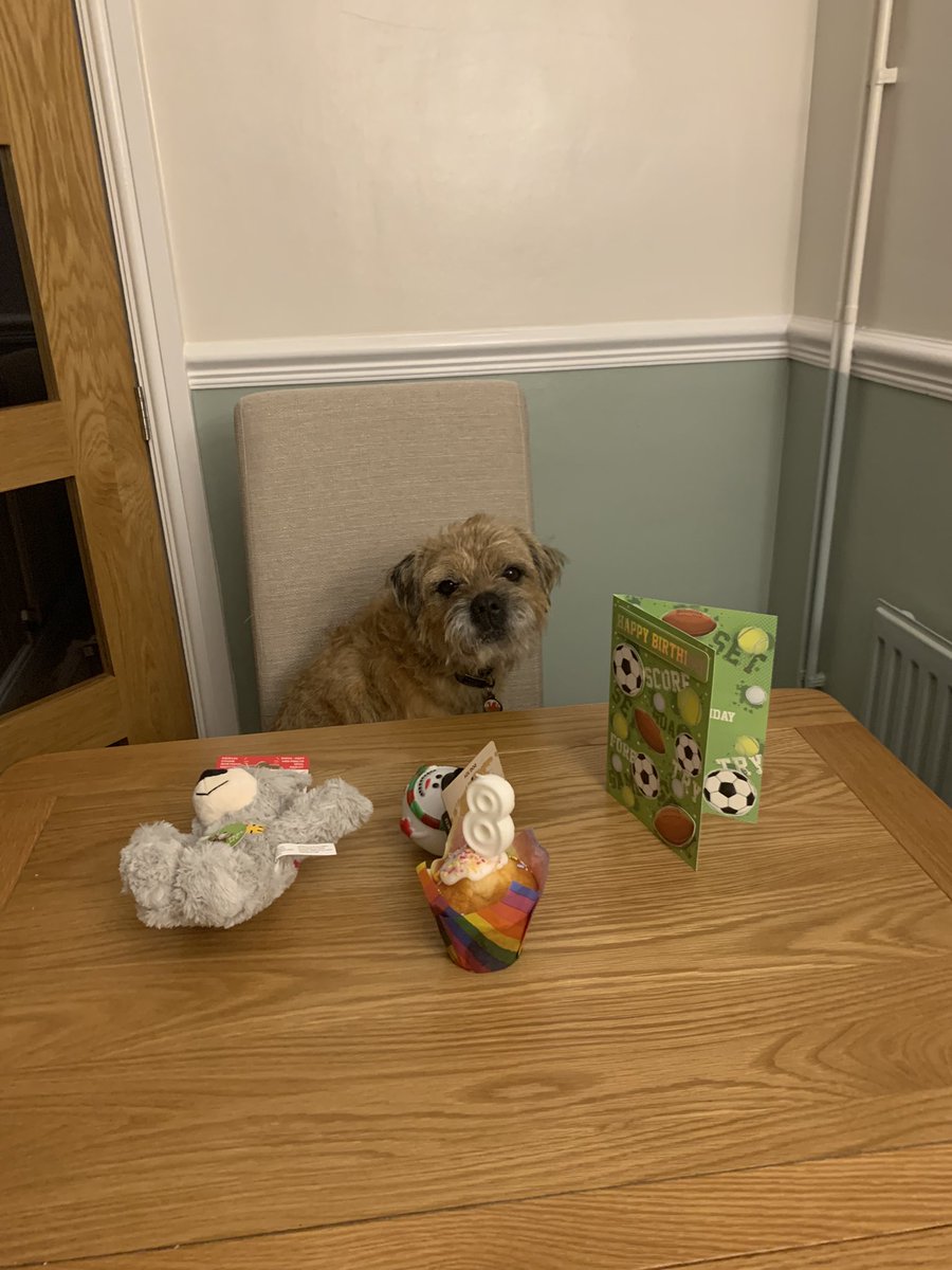 BorderDex's tweet photo. Today I’m 8 years young 🎊🎉….don’t think il be going far weather is shocking https://t.co/yj662i1S8O