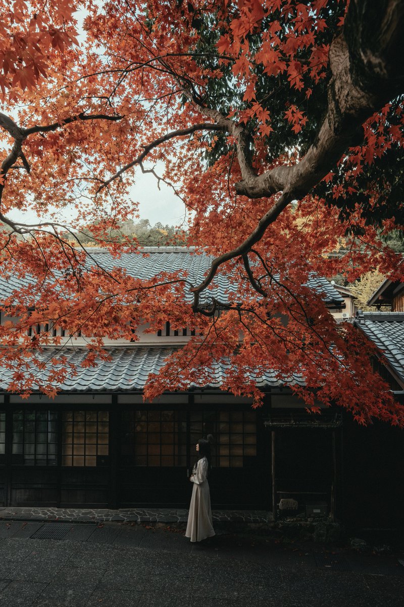 美しい日本の秋
