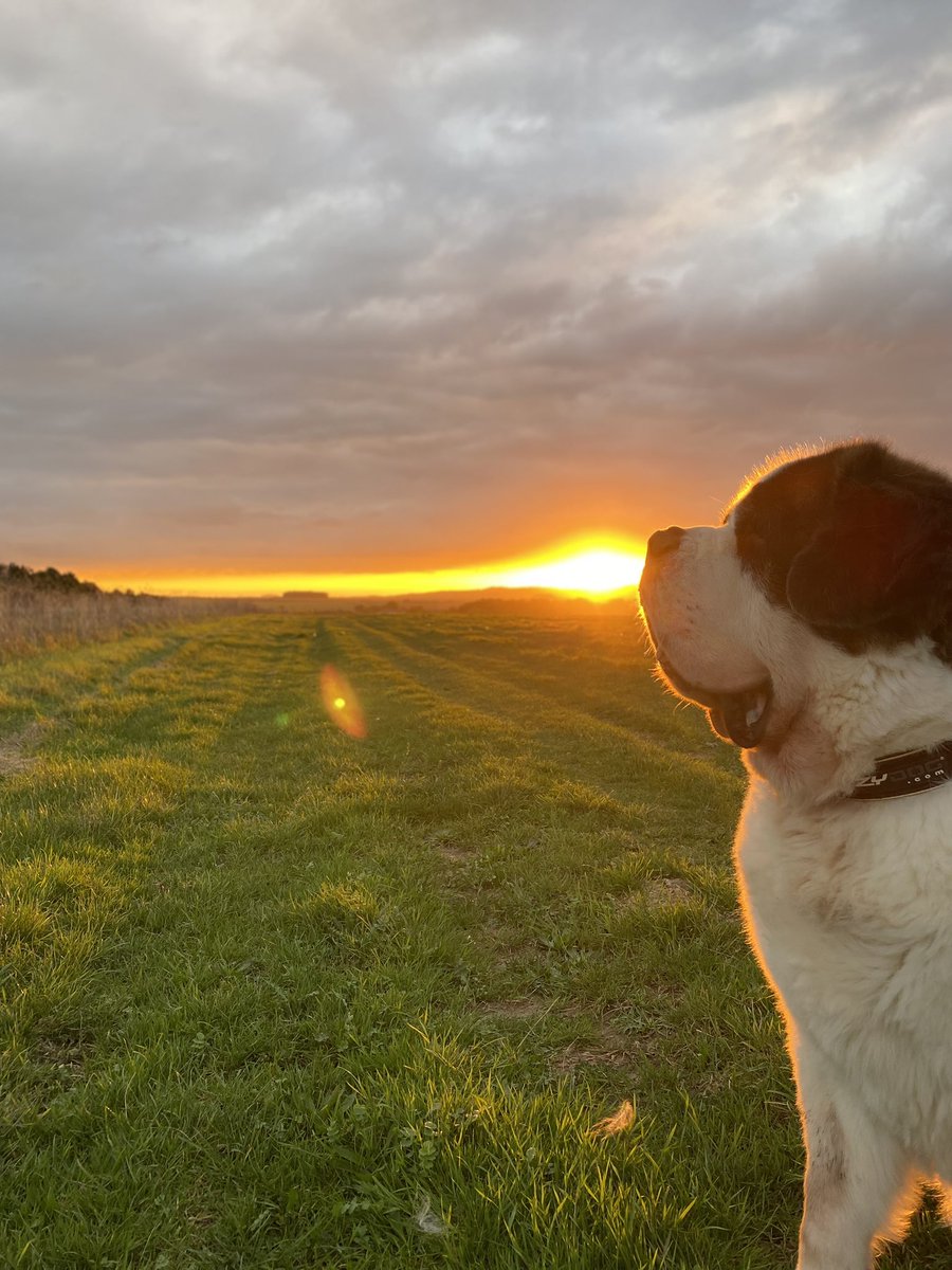 LifewithFND tweet media