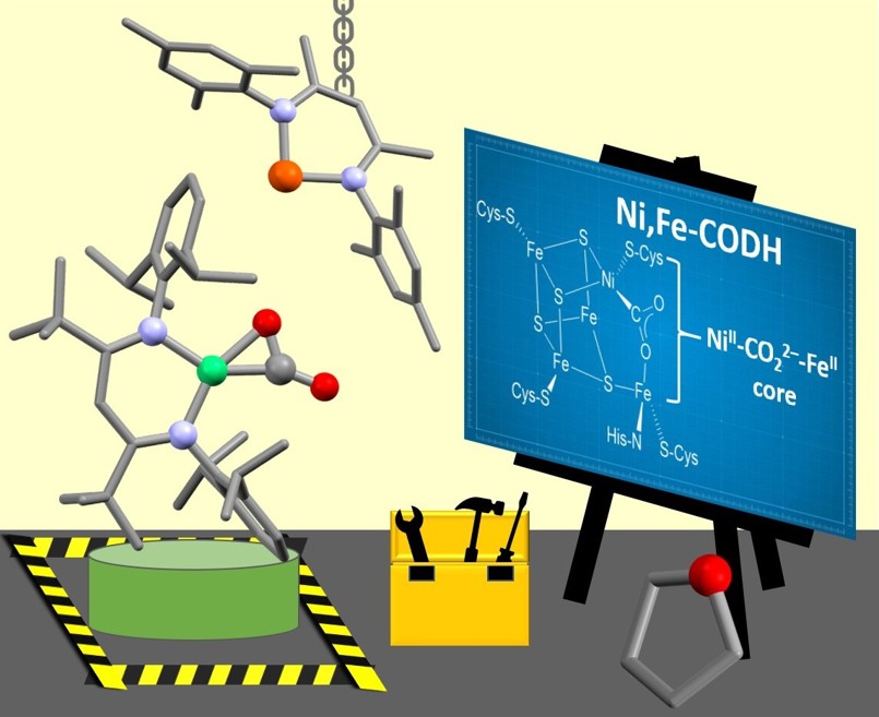 Christian Limberg (@christianlimb19) on Twitter photo Just out 😊: <a href="/SiadWolff/">Siad Wolff</a> has accomplished the design of a molecule with a Ni-CO2-Fe entity, resembling the one in the enzyme CODH, giving us a clue why nature may have used iron here. Thanks a lot also to all other contributors!! <a href="/angew_chem/">Angewandte Chemie</a> <a href="/UniSysCat/">UniSysCat - Cluster of Excellence</a>
onlinelibrary.wiley.com/doi/10.1002/an… Just out 😊: <a href="/SiadWolff/">Siad Wolff</a> has accomplished the design of a molecule with a Ni-CO2-Fe entity, resembling the one in the enzyme CODH, giving us a clue why nature may have used iron here. Thanks a lot also to all other contributors!! <a href="/angew_chem/">Angewandte Chemie</a> <a href="/UniSysCat/">UniSysCat - Cluster of Excellence</a>
onlinelibrary.wiley.com/doi/10.1002/an…