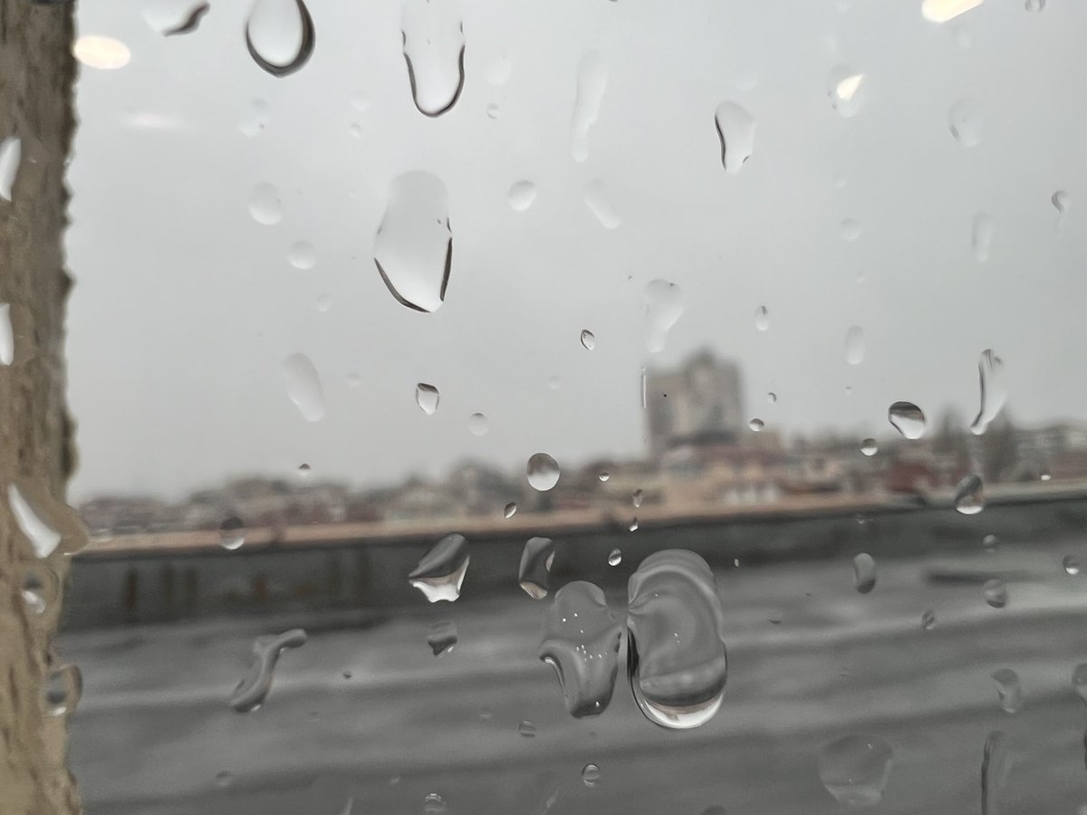 gsamokovarov's tweet photo. It’s the perfect weather for @rubybanitsa! ☔️ https://t.co/wChfZQnVEa