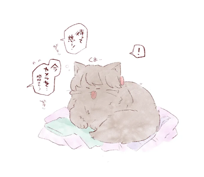 しゃったーちゃんすはまってくれないんだよ! 