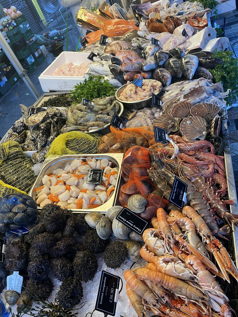 Jonathan Norris tweet media