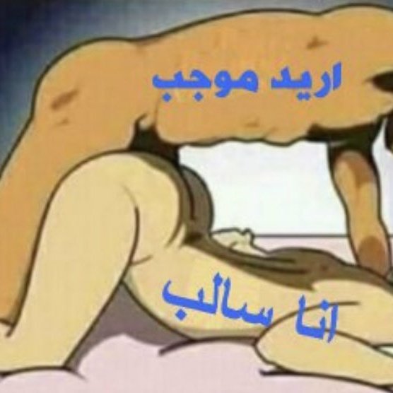 سالب خاضع مطيع tweet media