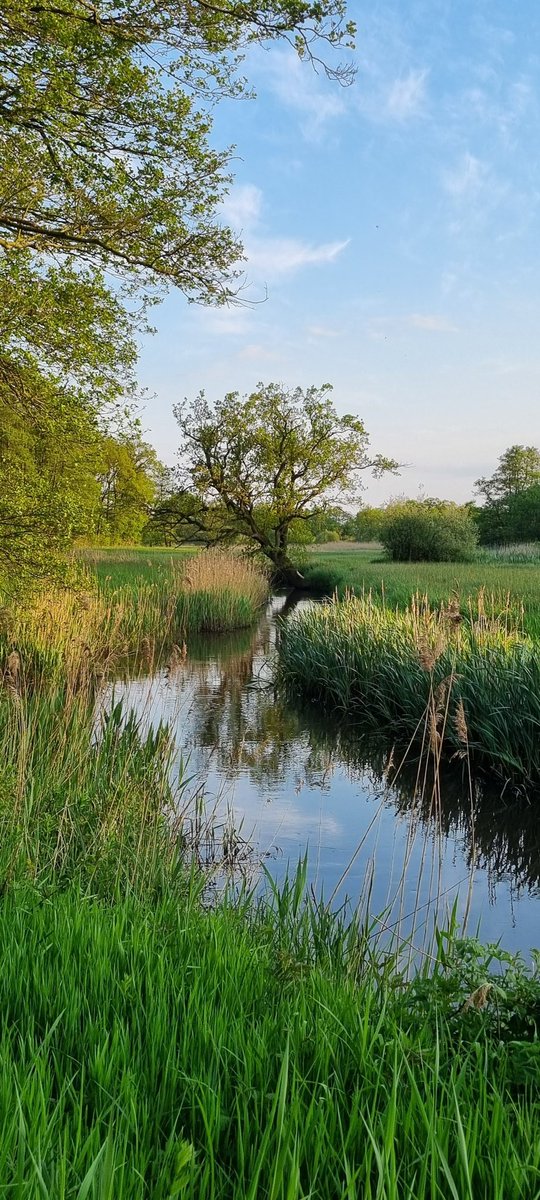Dit account houdt op te bestaan. Nationaal Park Drentsche Aa blijft bereikbaar op bijvoorbeeld Facebook en Instagram.